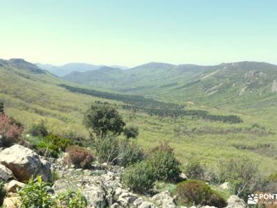 Parque Natural del Valle de Alcudia y Sierra Madrona; puente del pilar madrid alto tajo mapa rutas d